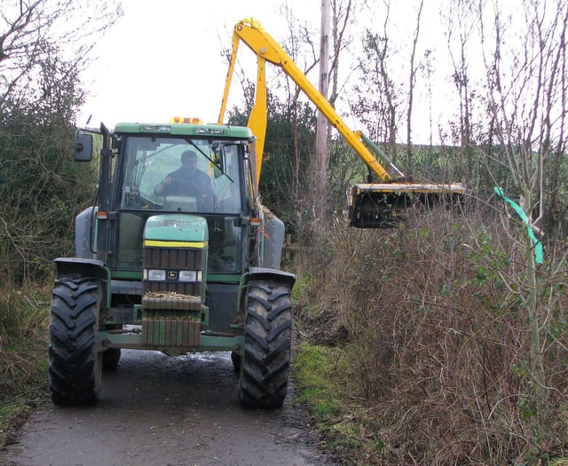 Nominate your Devon hedge for award