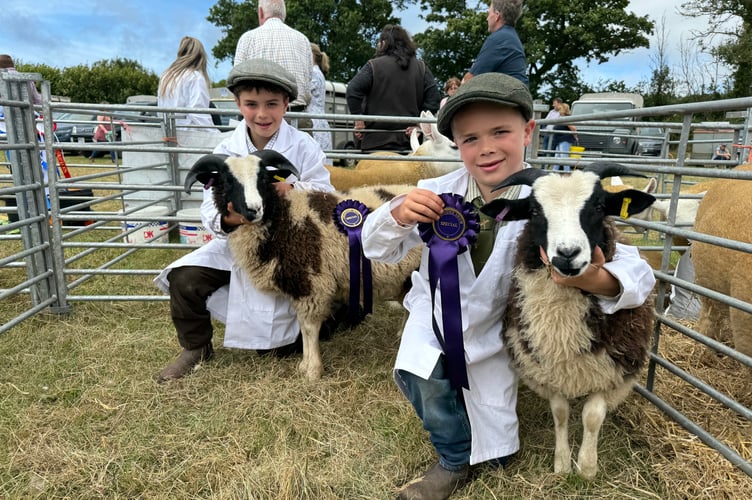 Seth (10) and Leo Davis (8) from Chagford exhibited Seth’s home-bred Jacob sheep in the young handler and native ewe lamb class. AQ 0579