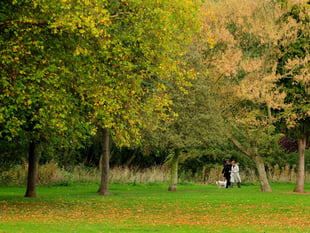 Access to green space in West Devon lower than South West average