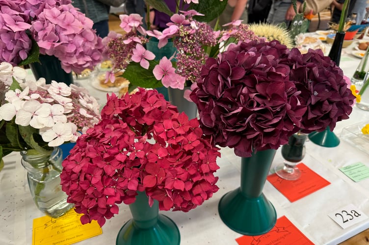 Beautiful blooms at Spreyton Flower, Produce and Craft Show.  AQ 1114