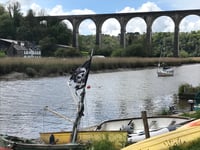 Biting flies cause misery in Calstock
