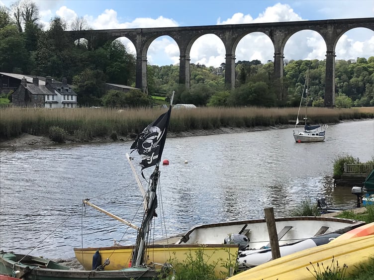There is a problem with biting flies in Calstock