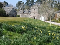 Plans to make Cotehele more accessible