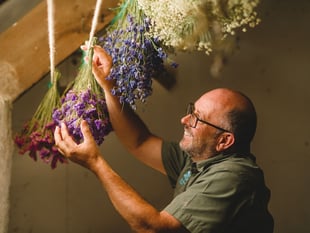 Flowers picked for Cotehele Christmas garland