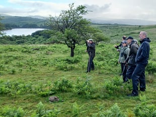 Boost for endangered bird