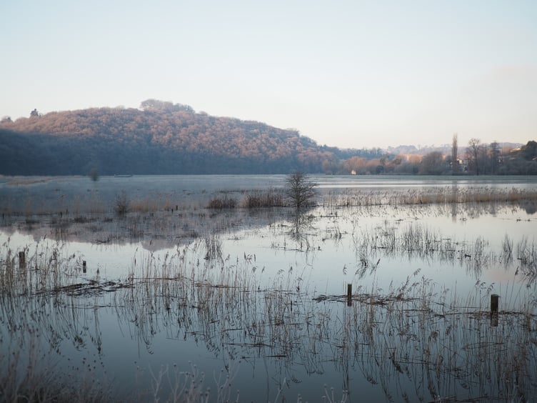 Calstock Wetland at first light. Picture by Pete Thompson