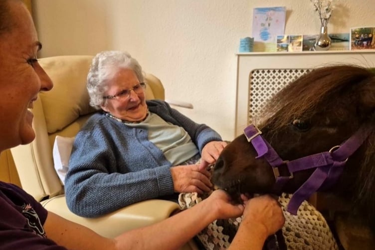 Iris.enjoys meeting a four-legged visitor to her nursing home with pony owner Chamaine Blamey.