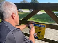 Police raise awareness over sheep worrying and speeding on Dartmoor