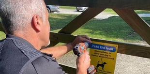 Police raise awareness over sheep worrying and speeding on Dartmoor