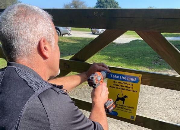 Police raise awareness over sheep worrying and speeding on Dartmoor