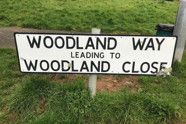 Autumn action day plans refresh for Woodland Way in Gunnislake 