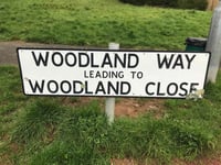 Autumn action day plans refresh for Woodland Way in Gunnislake 