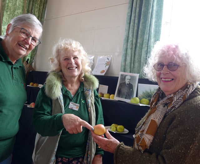 Crunching good time at Bere Apple Fest
