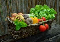 A chance to choose Devon's Best Venue 2025