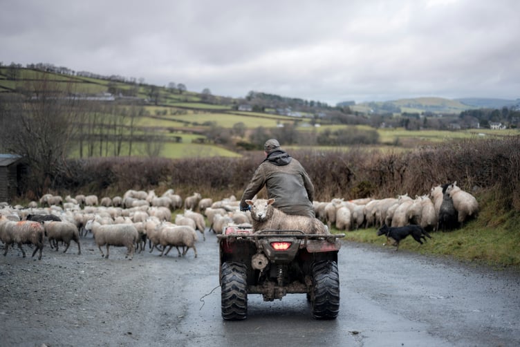 The rural crime team of Dyfed-Powys Police is offering free security marking for farm quad bikes at Brecon Livestock Market
