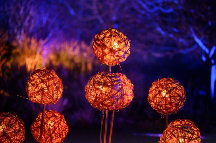 Hyde Hall, UK. 6 December, 2023. .Hyde Hall Glow 2024 - lifestyle shoot.Picture by Jim Holden