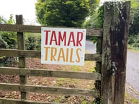 Zip rail ride refused