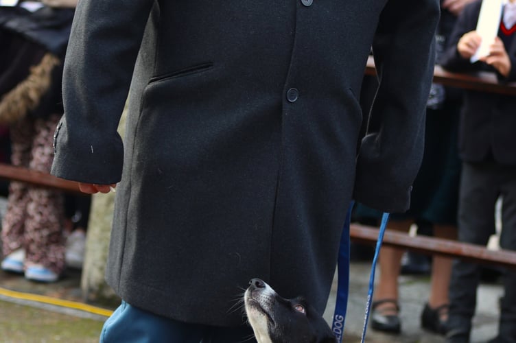 An Army veteran and his assistance dg at Tavistock Remembrance Sunday parade and service