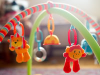 Revealed: the most popular baby names in West Devon in 2023