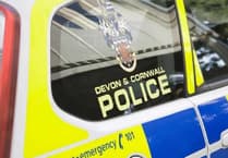 Two people injured in Roborough Down collision