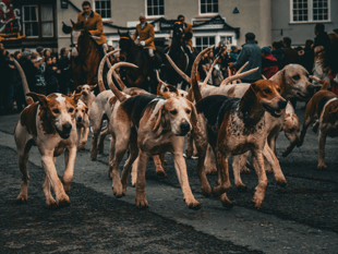 Hunt group issued police warning for antisocial behaviour allegations