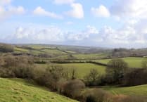 Hedgerow regulations to be brought into law to protect wildlife