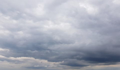 Partly cloudy with mild winds and no rain expected