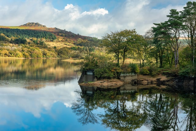 25 years of healthy lakes, landscapes and lives