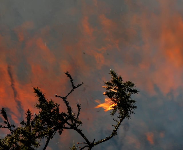 Fire crews tackle huge moorland fire