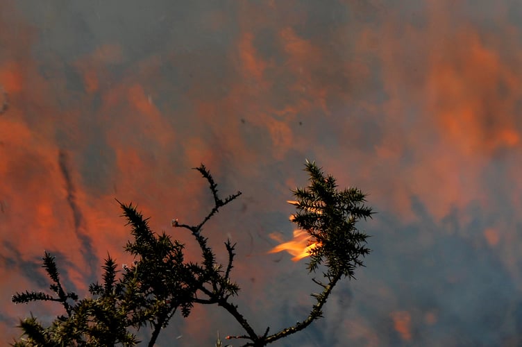   Stock image of fire on Dartmoor. Controlled buring from 2016