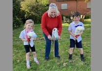 Appeal for hobby horses for County Show World Record attempt