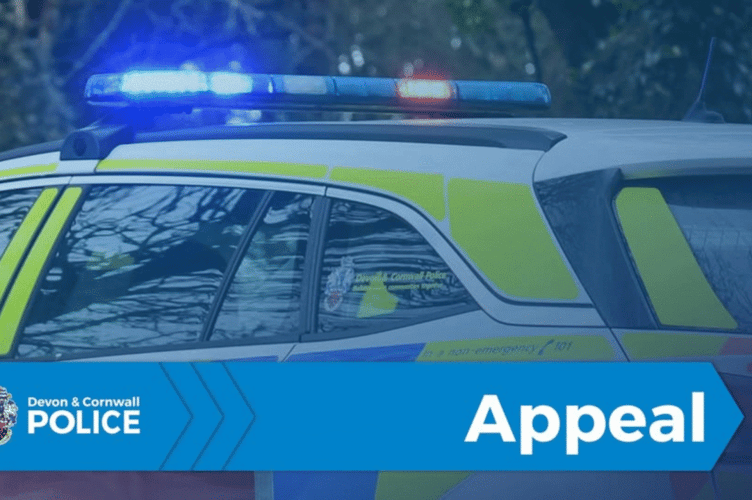 Police are appealing for information following a serious assault in Looe in the early hours of Sunday morning