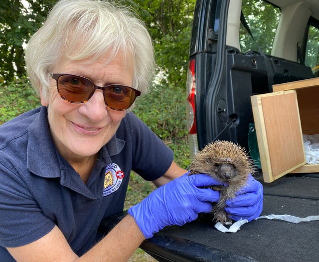 Singalong for a prickly problem