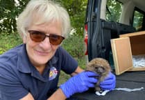 Singalong for a prickly problem
