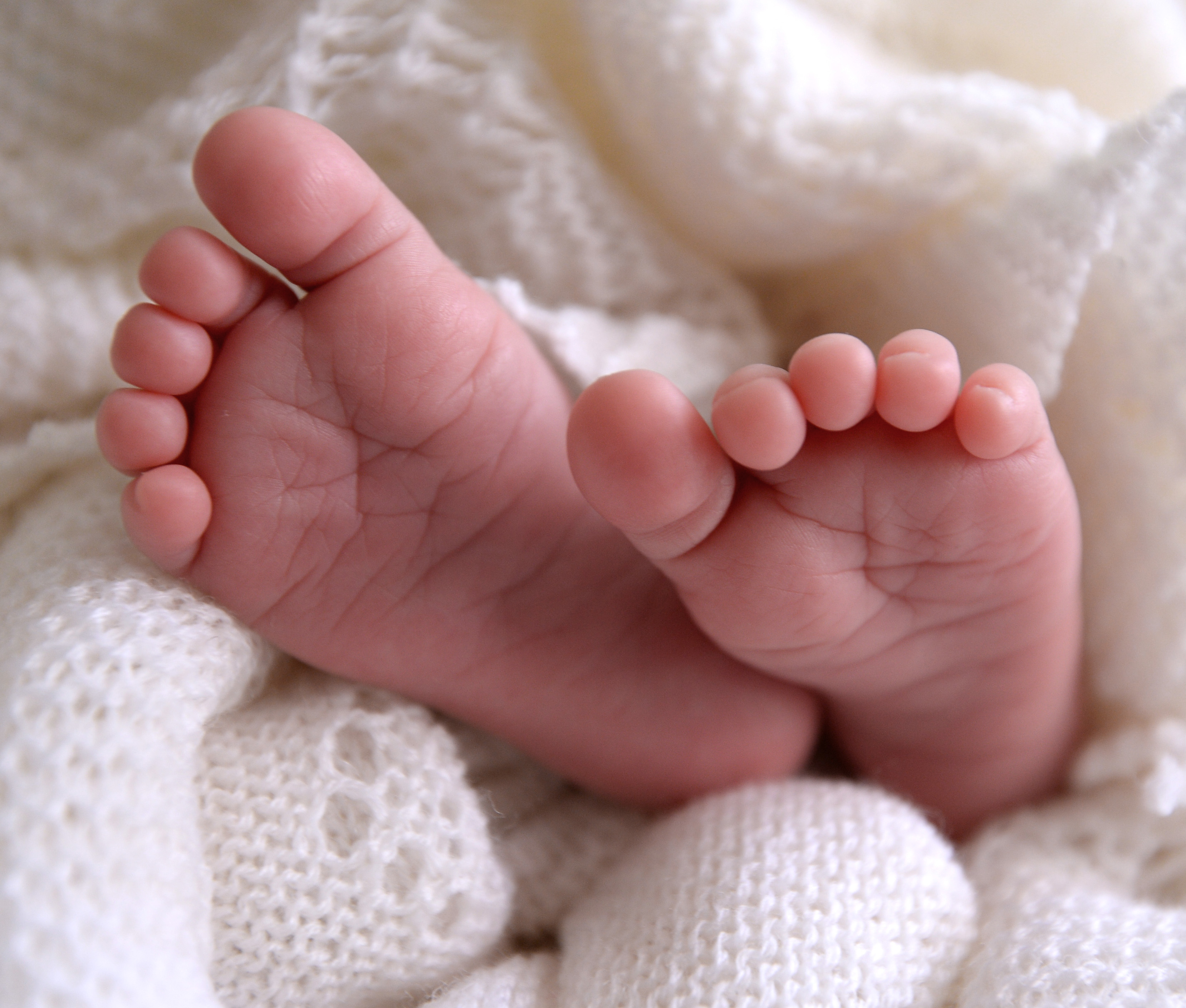 Fertility rate rises slightly in West Devon – bucking national trend