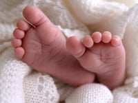 Fertility rate rises slightly in West Devon – bucking national trend