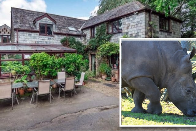 Rhino zoo approved despite sale delay