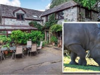 Rhino zoo approved despite sale delay