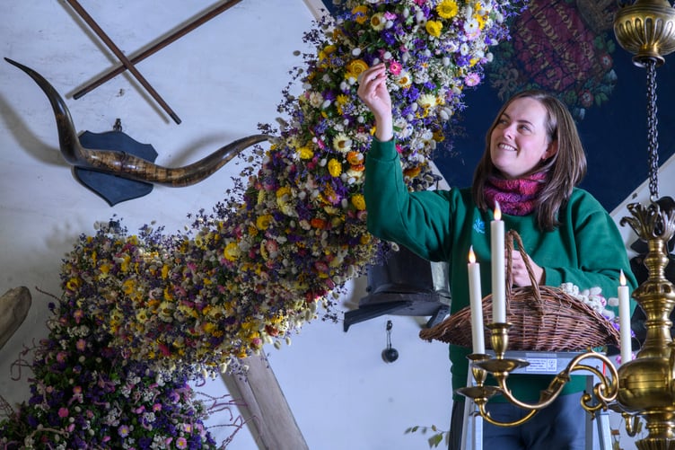 Record-breaking year for Cotehele's famous Christmas Garland
38,000 dried flowers grown, harvested and hand-placed at the National Trust estate in Cornwall
Cotehele celebrates its biggest ever garland, created from 38,000 home-grown flowers
deal growing conditions made 2025 a bumper year for key blooms including paper daisies, bunny tails and statice
Visitors can see the full 60ft garland in the Great Hall daily from Saturday, 22nd November - Monday, 5th January (closed 25th - 26th December), 10.30am - 4pm
Cotehele's celebrated Christmas Garland has reached record heights this year, as gardeners announce a remarkable 38,000 flowers grown, picked, stripped, dried and prepared on site for the 2025 display.
Thanks to a near-perfect spring and summer - with a balanced mix of sunshine, warmth and timely rainfall - the garden team enjoyed one of their most successful growing seasons in decades