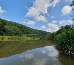 Drip Drip Tamar calls on locals to join next phase  