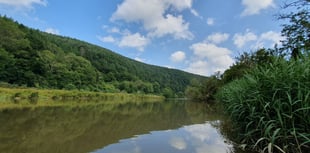 Drip Drip Tamar calls on locals to join next phase  