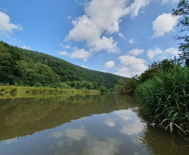 Drip Drip Tamar calls on locals to join next phase  