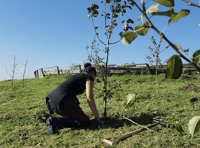 Successful garden maintenance franchise territory for sale 