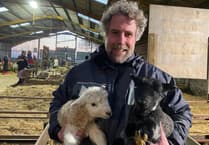 West Devon farmers hit out at pony cull plan