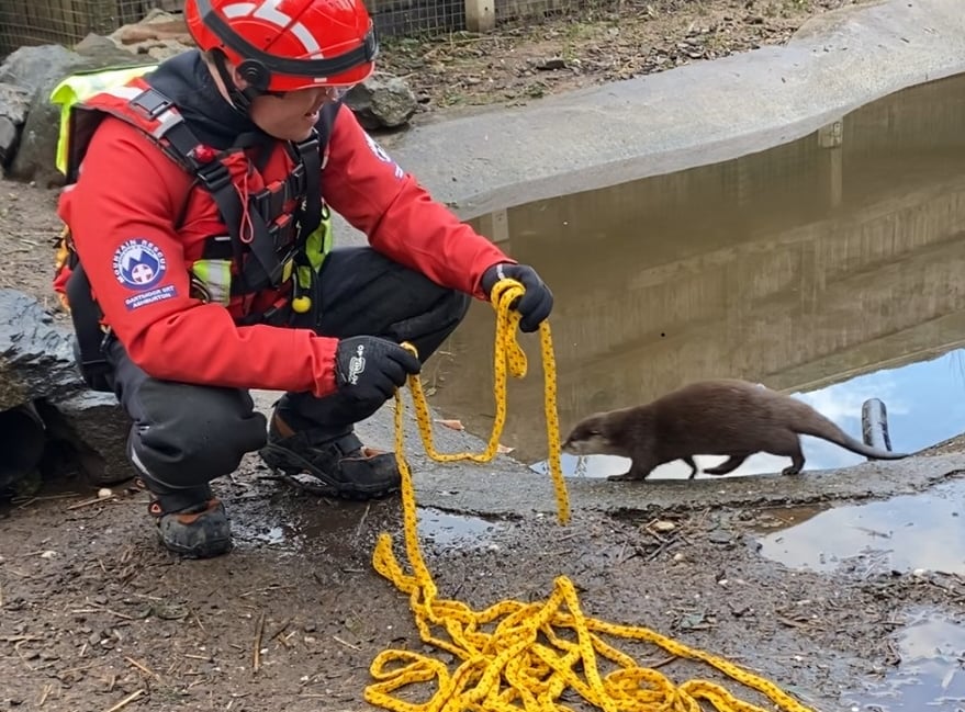 Dartmoor rescue team's lifesaving idea is otter this world