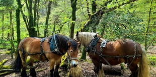 Festival celebrating Dartmoor on the horizon