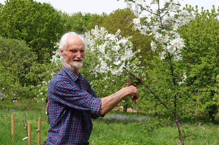 Bere Ferrers Orchard opening with Charles Staniland. Picture by Ann Parsons.