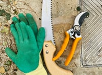 Dangers lurking in the garden ahead of bank holiday weekend