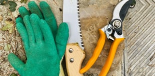 Dangers lurking in the garden ahead of bank holiday weekend