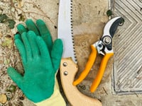Dangers lurking in the garden ahead of bank holiday weekend